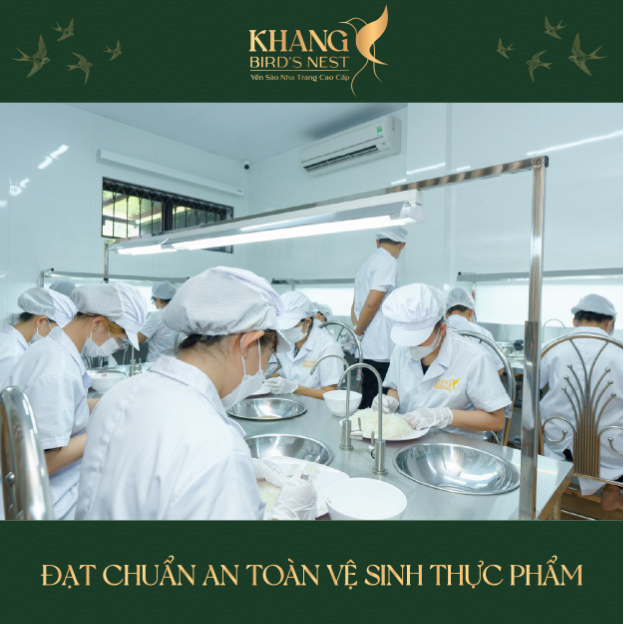 Yến sào Khang cùng giải pháp thu hoạch tổ yến bền vững   - Ảnh 1.