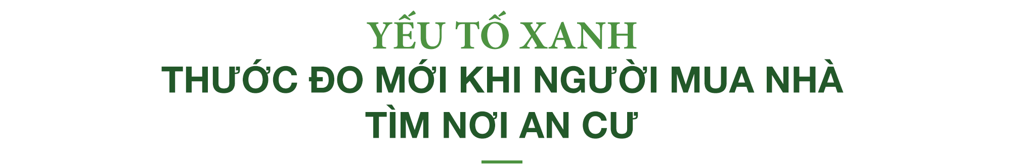 Videc Group trăn trở về hành trình phát triển bất động sản xanh cao cấp - Ảnh 2.