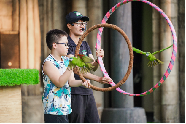 Không phải tới các khu bảo tồn hay công viên hoang dã thế giới, Sun World Ha Long vừa ra mắt show trình diễn chim cực hấp dẫn - Ảnh 4.