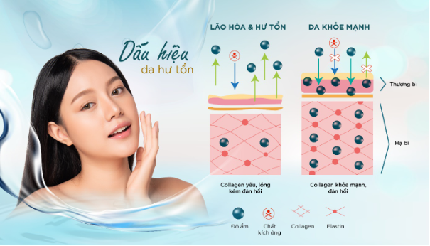 Phục hồi và tái tạo da nhờ mặt nạ có thành phần từ tảo đại dương - Ảnh 1.