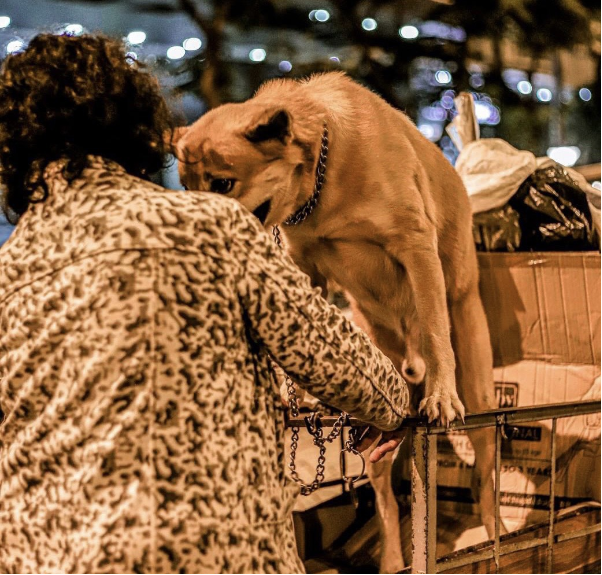 Nhiếp ảnh gia Huỳnh Thanh Quang mang đến những bức ảnh về khoảnh khắc đáng yêu giữa người và các chú cún - Ảnh 3.