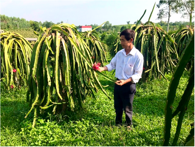 Tổ vay vốn – Nhịp cầu nối tín dụng tam nông - Ảnh 2.