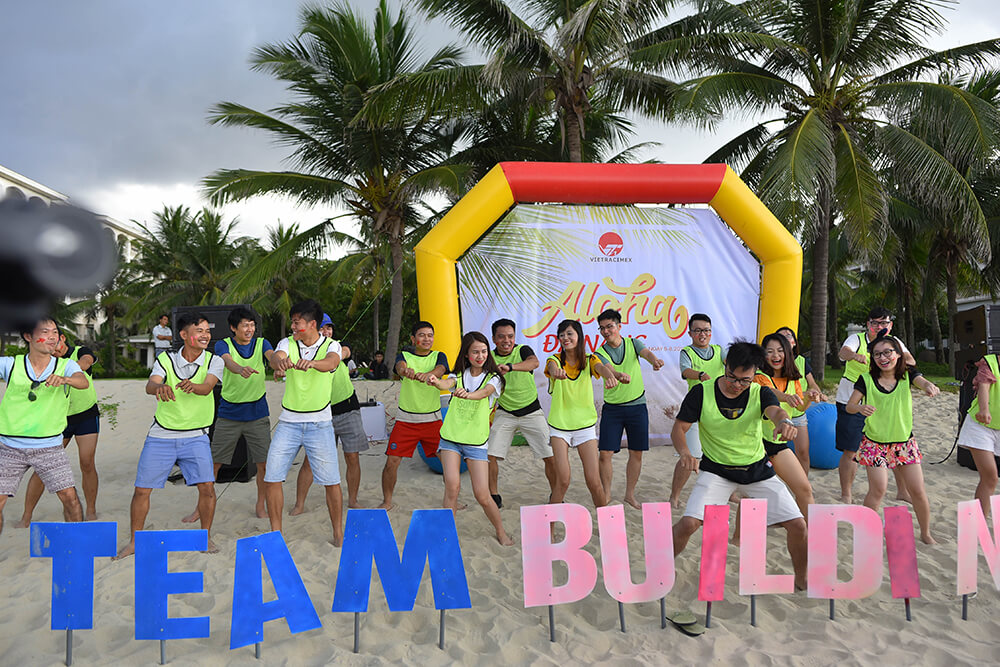 “Tảng băng chìm” quanh chuyện đầu tư của Vietracimex - Ảnh 1. “Tảng băng chìm” quanh chuyện đầu tư của Vietracimex - Ảnh 1.