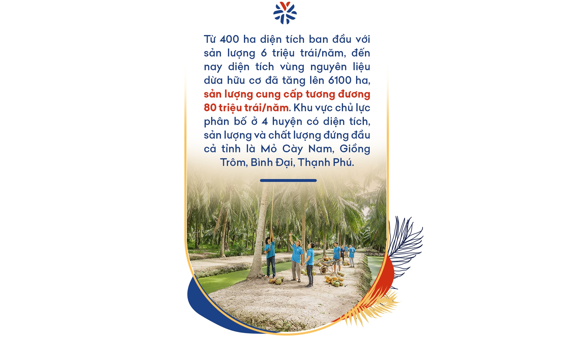 Dừa Lương Quới - 25 năm một chặng đường quốc tế hóa thương hiệu dừa quốc gia - Ảnh 3.