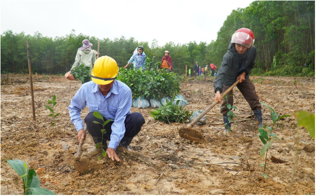 Thêm 150.000 cây xanh được trồng Vì màn chắn xanh Việt Nam - Ảnh 2.