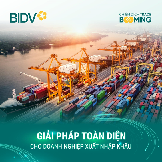BIDV hỗ trợ doanh nghiệp xuất nhập khẩu giữ đà tăng trưởng cuối năm - Ảnh 1.