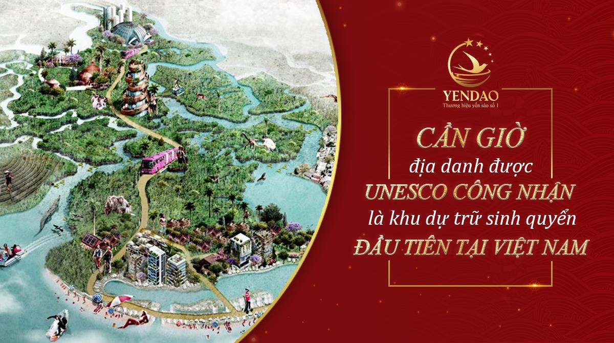 Từ tổ yến thiên nhiên tới tổ ấm mỗi gia đình Việt - Sự ra đời của Yến Đảo Cần Giờ - Ảnh 1.