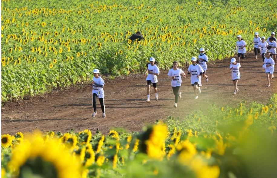 Gần 4000 học sinh – sinh viên chinh phục đường chạy hoa hướng dương tại S-Race Nghệ An - Ảnh 3.