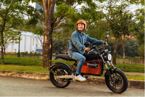 Dat Bike Weaver++: Thiết kế độc đáo, động cơ mạnh, hướng tới giới trẻ năng động - Ảnh 2.