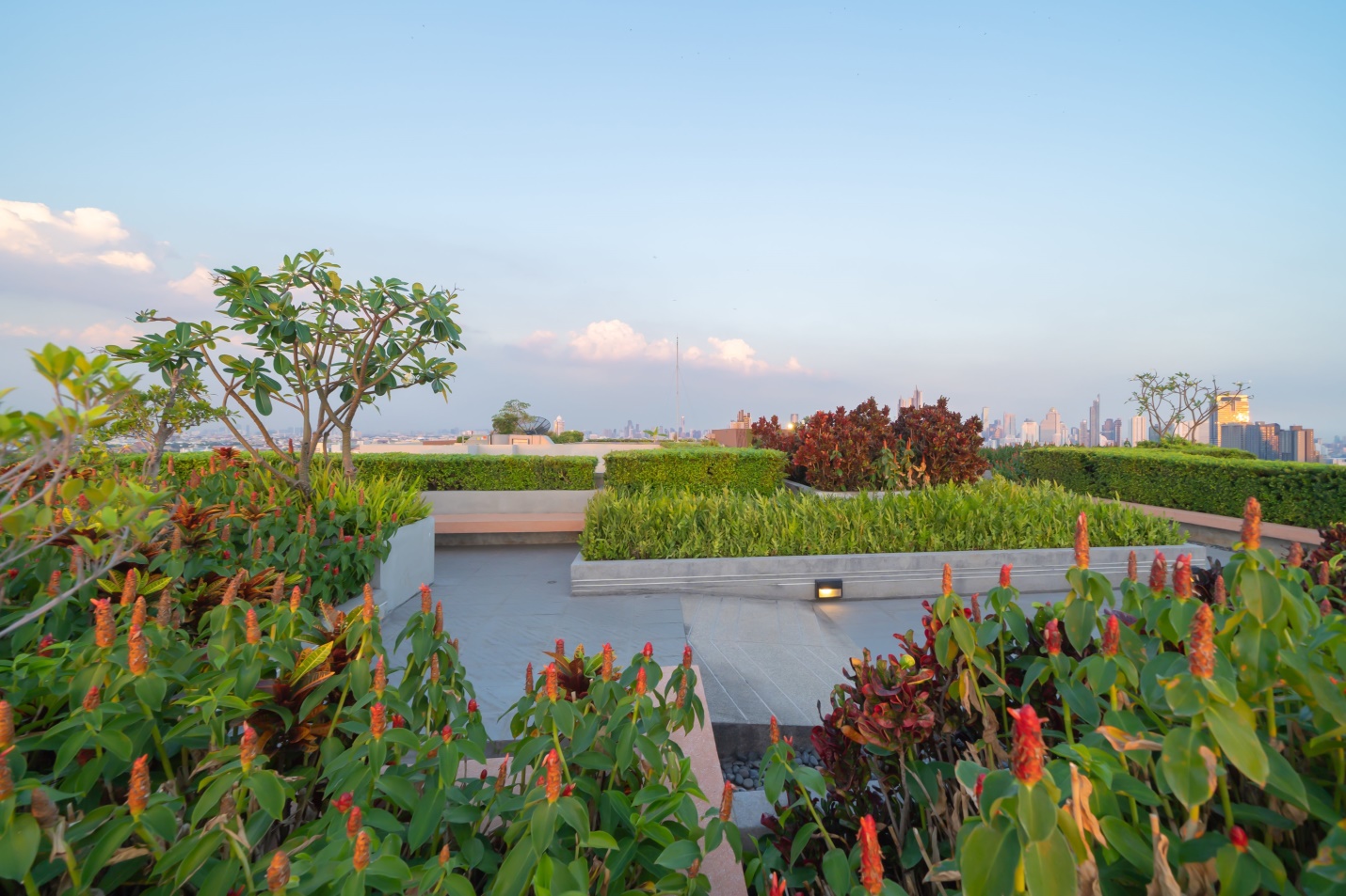 An Gia đầu tư Rooftop Garden rộng 4.000 m2 cho cư dân Westgate
