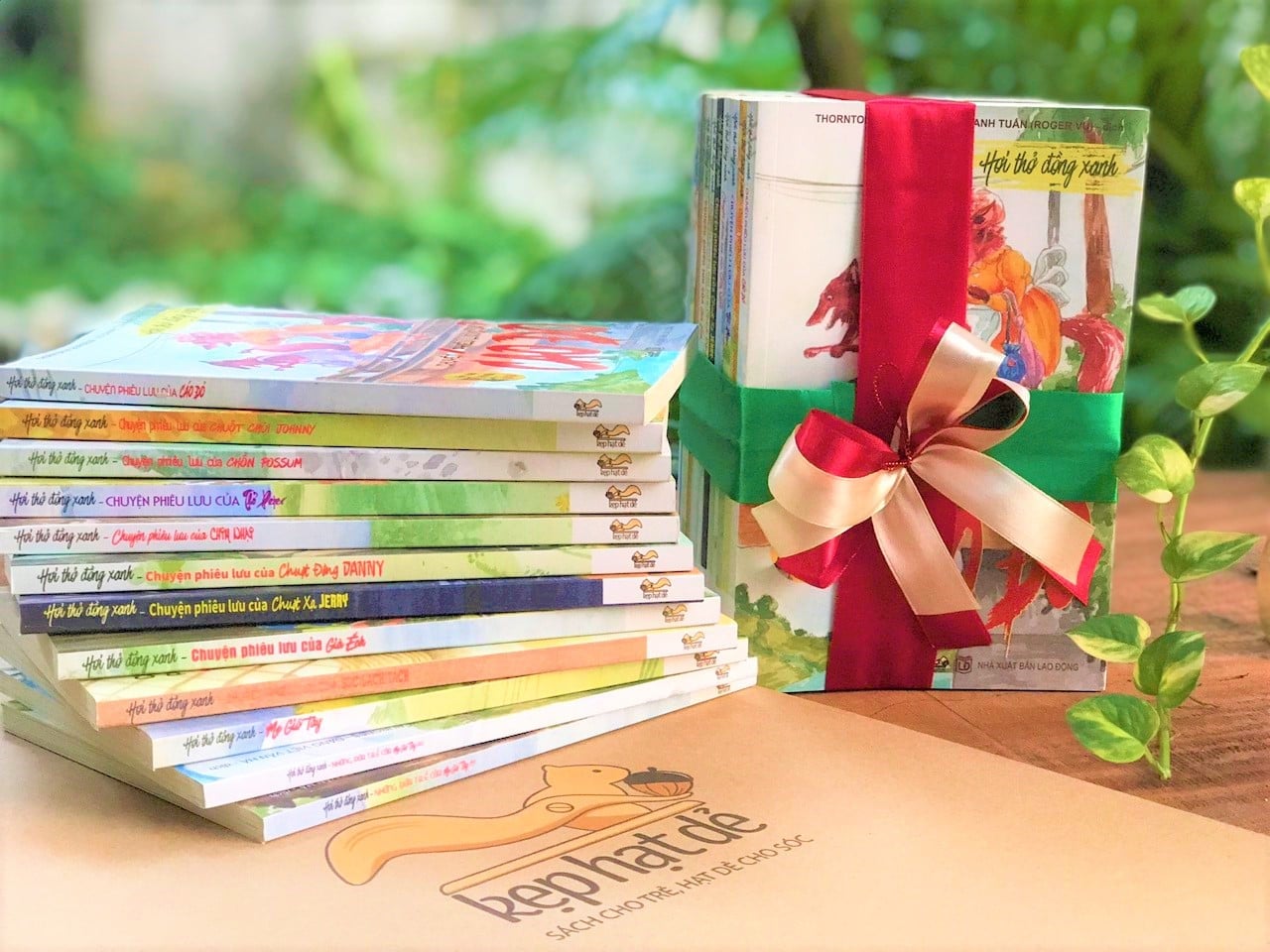 Cùng Kẹp Hạt Dẻ nuôi dưỡng tâm hồn trẻ thơ qua tình yêu sách - Ảnh 1.