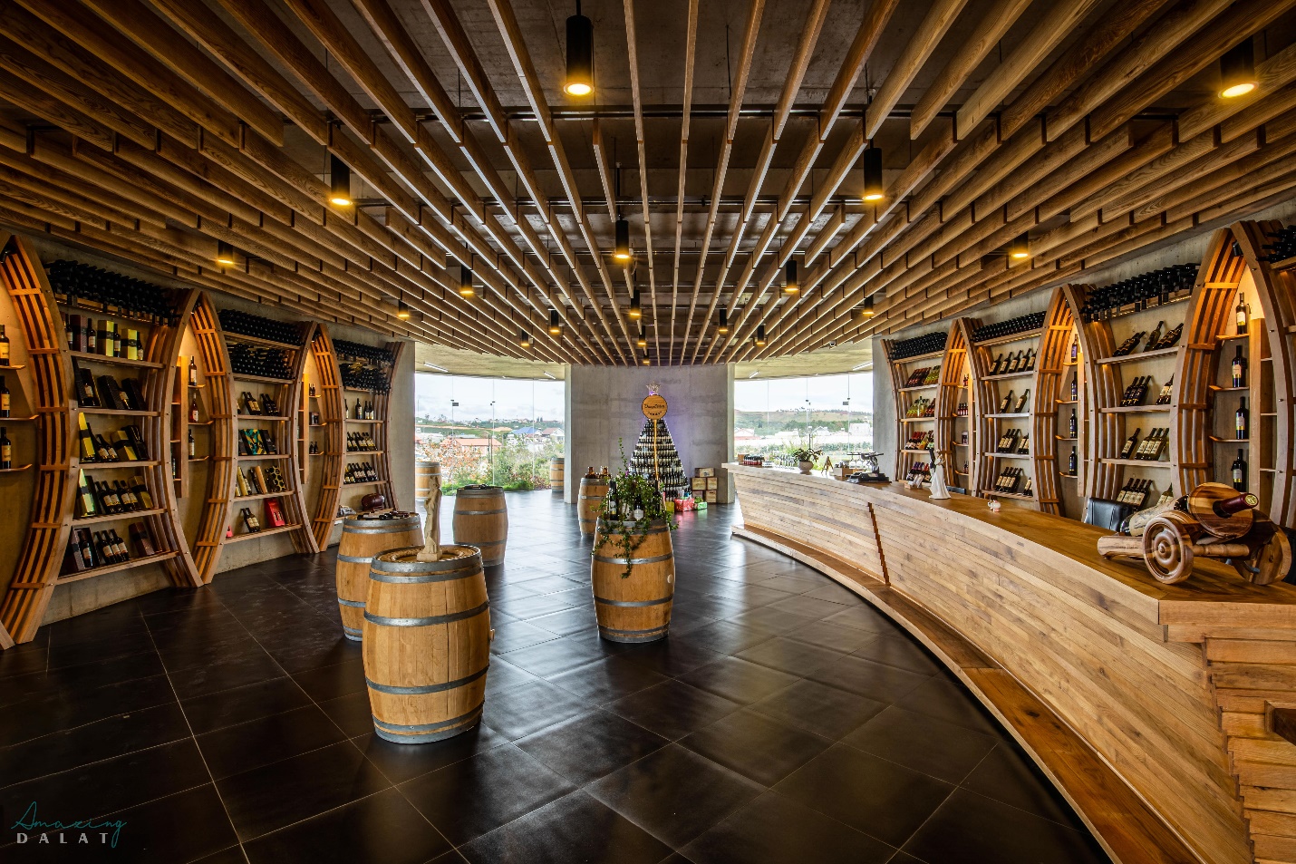 “Khám phá bí ẩn vang non” cùng Ladofoods - Thương hiệu vang nổi tiếng Việt Nam - Ảnh 3.