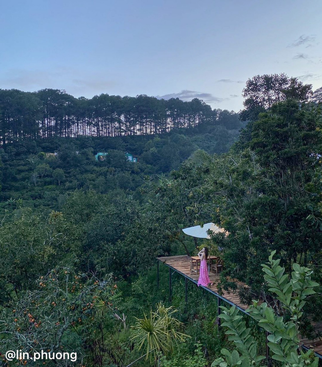 Rừng Nhiệt Đới Caf&eacute; - Qu&aacute;n c&agrave; ph&ecirc; ng&agrave;n view sống ảo ở Đ&agrave; Lạt - Ảnh 2.