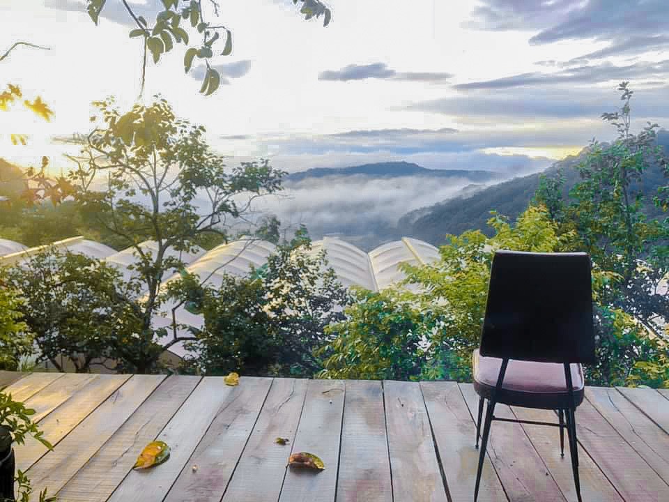 Rừng Nhiệt Đới Caf&eacute; - Qu&aacute;n c&agrave; ph&ecirc; ng&agrave;n view sống ảo ở Đ&agrave; Lạt - Ảnh 3.