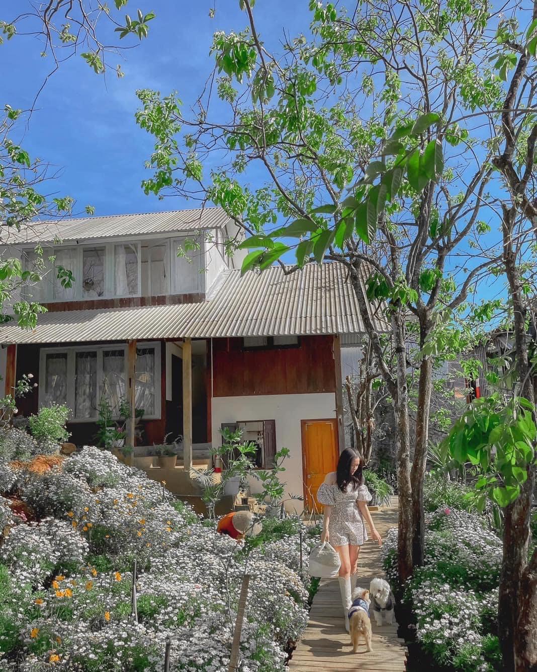 Rừng Nhiệt Đới Caf&eacute; - Qu&aacute;n c&agrave; ph&ecirc; ng&agrave;n view sống ảo ở Đ&agrave; Lạt - Ảnh 5.