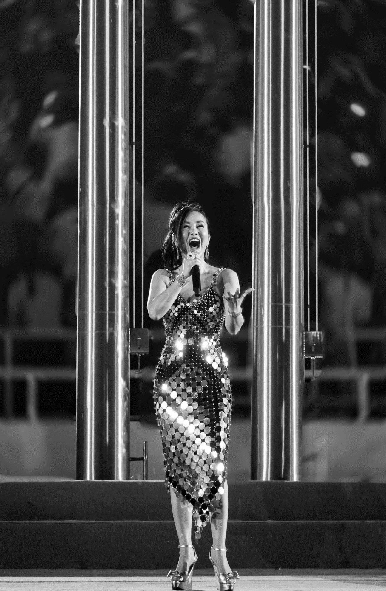 Diva Hồng Nhung: Cảm xúc bùng nổ khi lần thứ 2 hát ca khúc chủ đề của SEA Games - Ảnh 3.