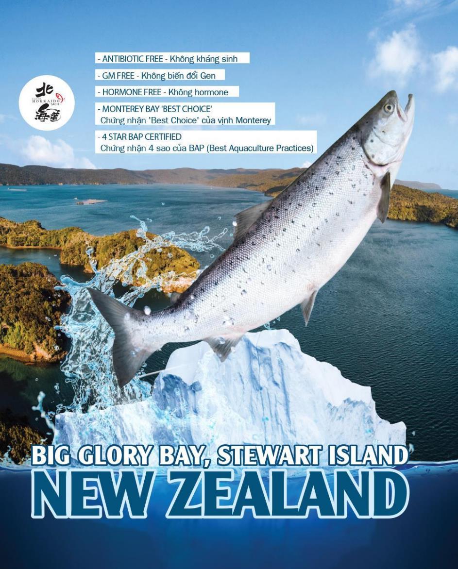 Sushi Hokkaido Sachi đã chính thức nhập khẩu cá hồi “King Salmon” từ New Zealand - Ảnh 1.