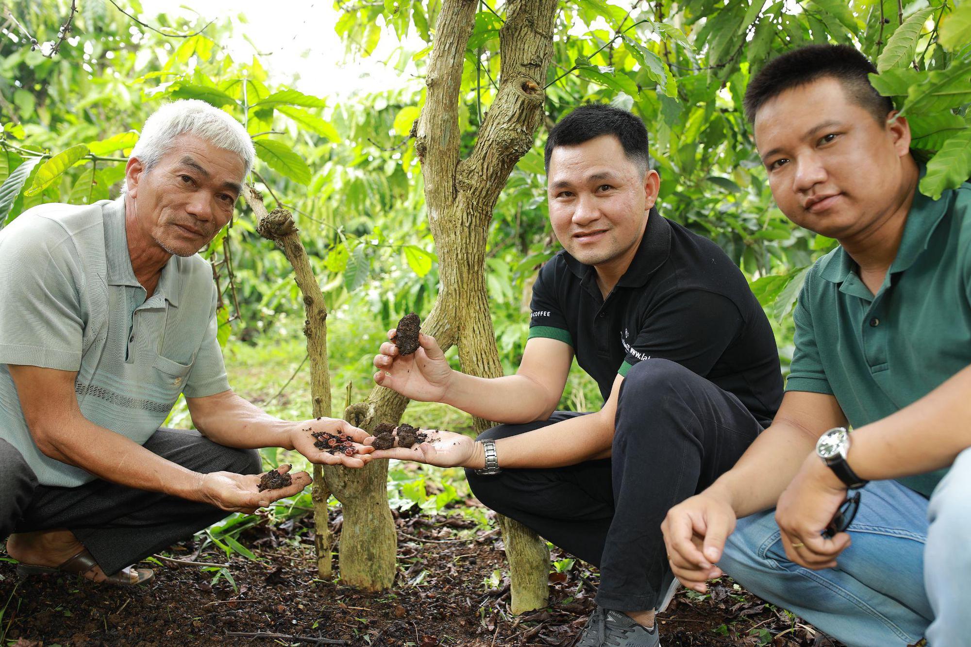 Lão nông Việt hiện thực hóa giấc mơ sản xuất café sạch như cách người Nhật trồng táo Kimura - Ảnh 3. Lão nông Việt hiện thực hóa giấc mơ sản xuất café sạch như cách người Nhật trồng táo Kimura - Ảnh 3.