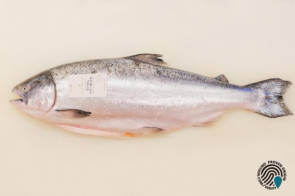 Sushi Hokkaido Sachi chính thức nhập khẩu cá hồi “King Salmon” từ New Zealand - Ảnh 4. Sushi Hokkaido Sachi chính thức nhập khẩu cá hồi “King Salmon” từ New Zealand - Ảnh 4.