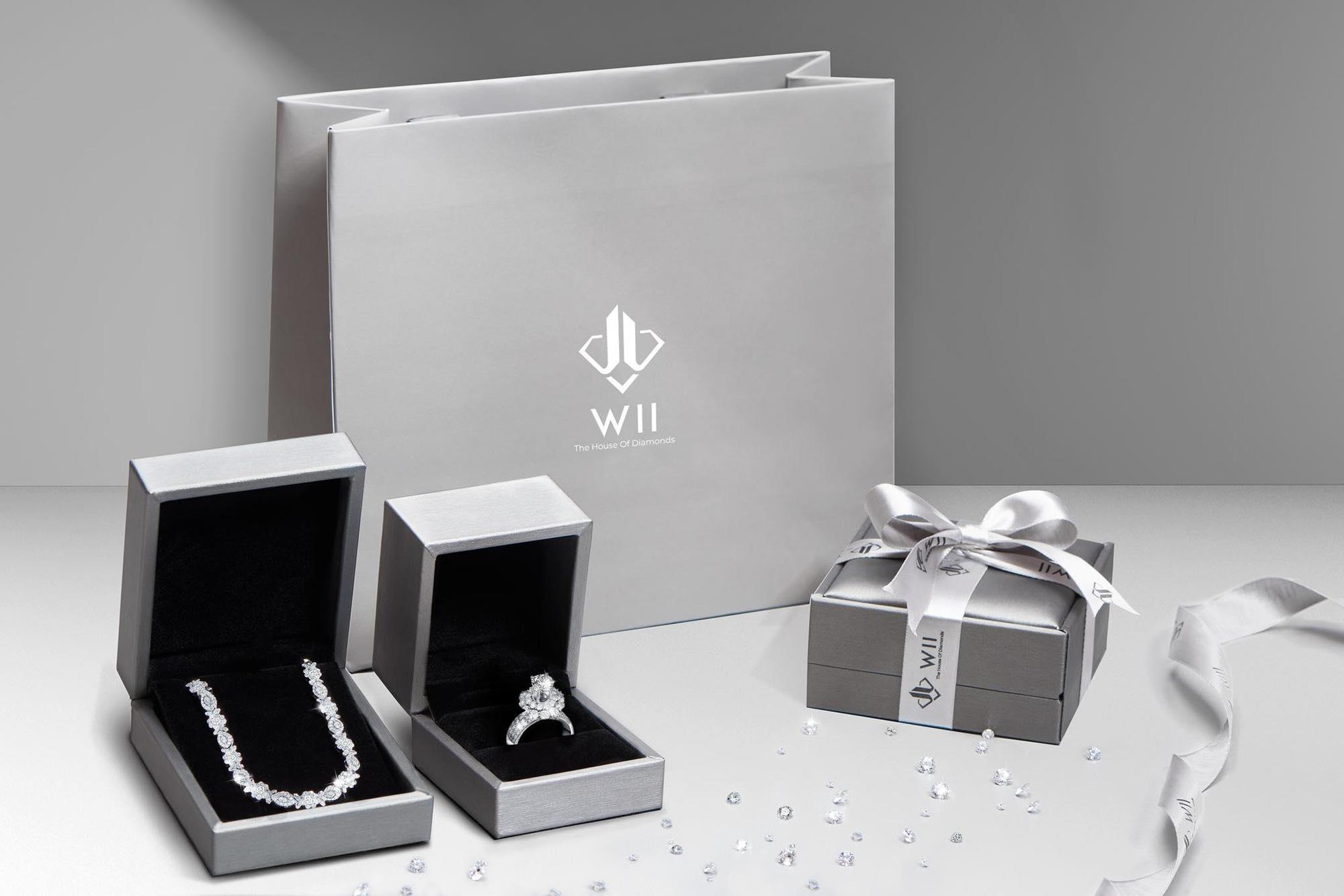 CEO Huy Nguyễn: Wii - The House of Diamonds vinh dự khi tài trợ cho Hoa hậu Du lịch Việt Nam Toàn cầu - Ảnh 6.