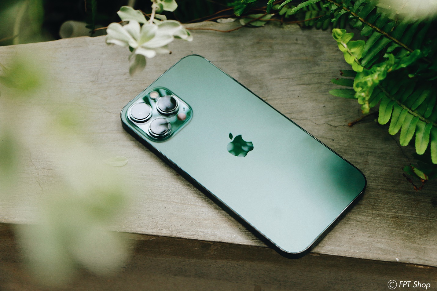 FPT Shop nhân đôi bảo hành iPhone 13 Pro Max mừng bóng đá Việt Nam giành cú đúp huy chương vàng tại SEA Games 31 - Ảnh 1. FPT Shop nhân đôi bảo hành iPhone 13 Pro Max mừng bóng đá Việt Nam giành cú đúp huy chương vàng tại SEA Games 31 - Ảnh 1.