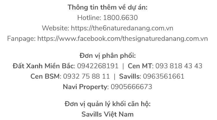 Sức hút của The 6Nature Danang -  “Viên ngọc xanh” bên bờ biển quyến rũ bậc nhất hành tinh - Ảnh 10.