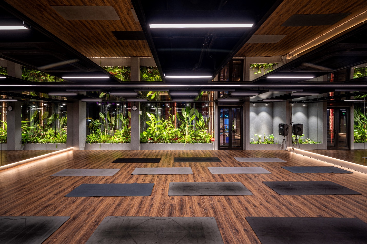 Nova Service đưa CITIGYM trở thành thương hiệu hàng đầu ngành fitness tại Việt Nam - Ảnh 1.