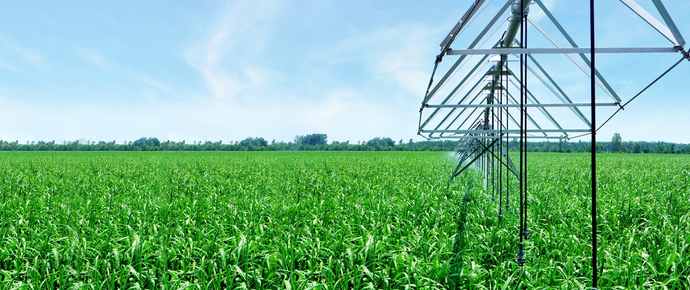 SBT - Toàn diện chuỗi cung ứng trên nền tảng phát triển bền vững - Ảnh 1.