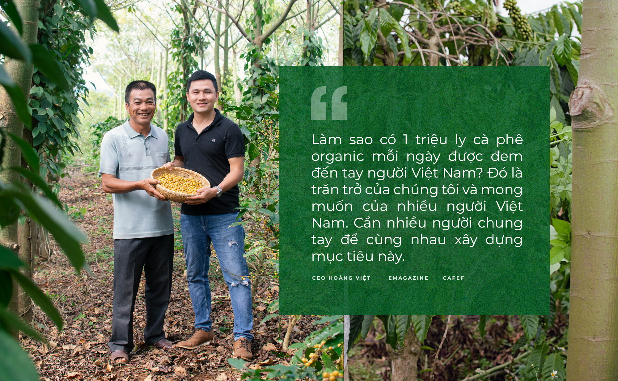 CEO Hoàng Việt: Laha Café sẽ là doanh nghiệp tiên phong bán từng ly cà phê organic hàng ngày cho người tiêu dùng Việt - Ảnh 7.