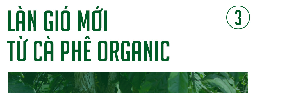 CEO Hoàng Việt: Laha Café sẽ là doanh nghiệp tiên phong bán từng ly cà phê organic hàng ngày cho người tiêu dùng Việt - Ảnh 9.