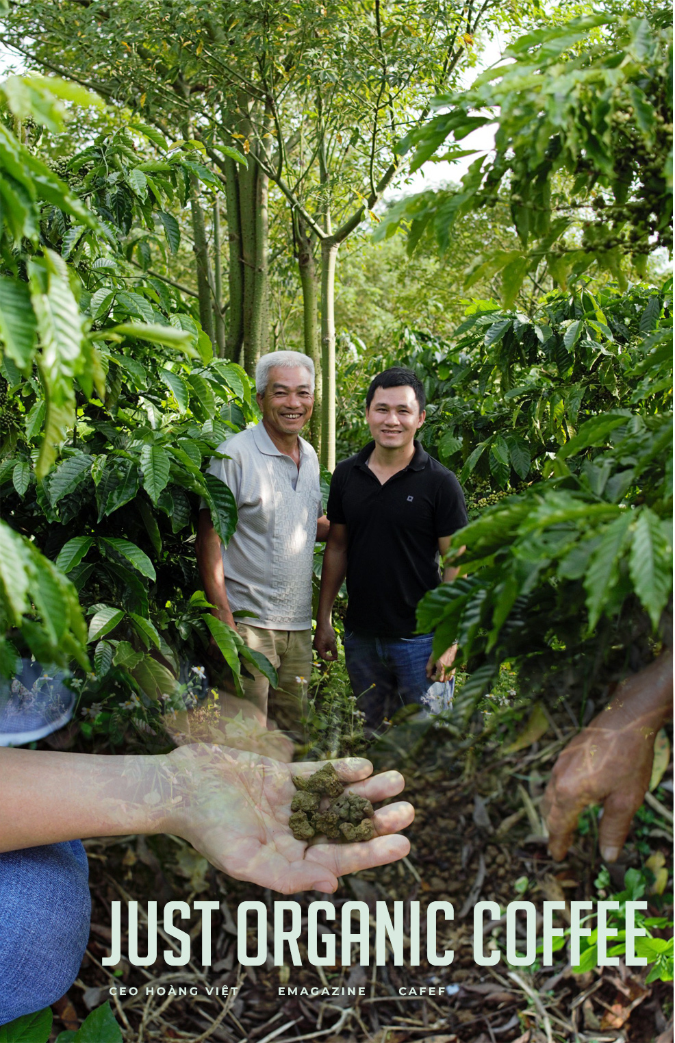 CEO Hoàng Việt: Laha Café sẽ là doanh nghiệp tiên phong bán từng ly cà phê organic hàng ngày cho người tiêu dùng Việt - Ảnh 3.