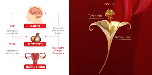 Từ một cô gái dễ thương đổi tính thành người đàn bà khó chịu - Nỗi ám ảnh khi bước qua tuổi 30 - Ảnh 2.