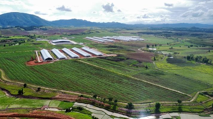  Vinamilk nhập đàn bò sữa 1000 con từ Mỹ về trang trại bò sữa  Lao-Jagro tại Lào  - Ảnh 6.