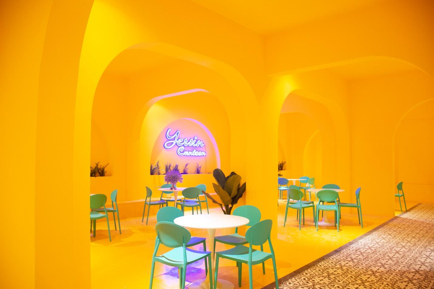 Diện mạo “đốn tim” của trường Đại học Yersin Đà Lạt - Ảnh 5. Diện mạo “đốn tim” của trường Đại học Yersin Đà Lạt - Ảnh 5.