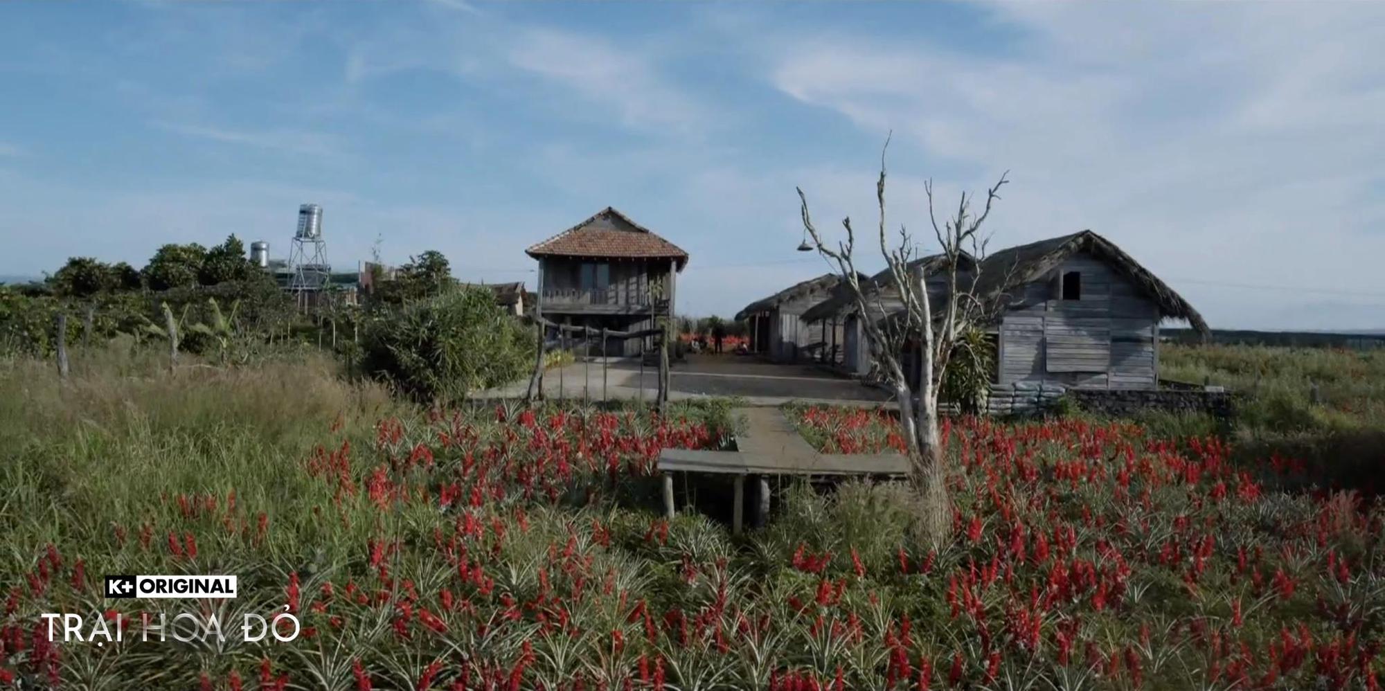 Red Flower Camp: Impressive pitch, clearly depicting Victor Vu's bold thriller world - Photo 2.