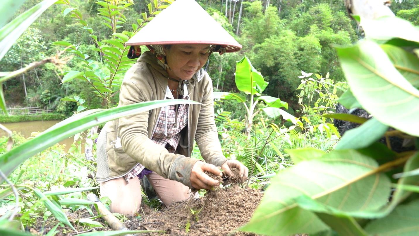 Tích cực trồng rừng giữ nước - Cam kết vì một Việt Nam phát triển bền vững từ Suntory PepsiCo Việt Nam - Ảnh 4.