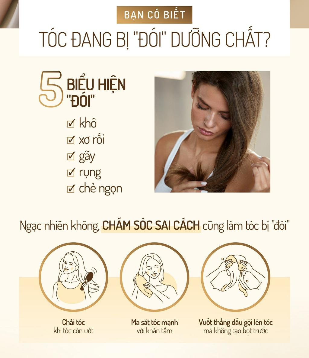 Siêu dưỡng chất cho tóc “lên ngôi”: Giải quyết nỗi lo tóc “đói” - Ảnh 1.