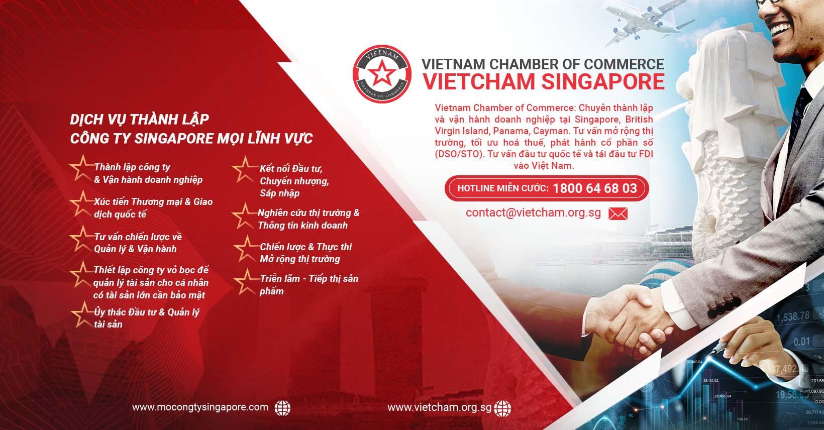 'Sử dụng Singapore làm bàn đạp cho doanh nhân Việt tiến ra biển lớn' - Ảnh 2.