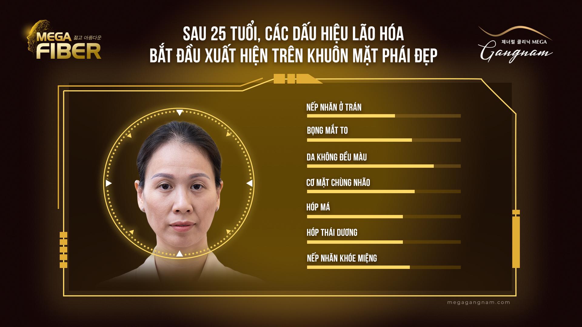 Vì sao Mega Gangnam sẵn sàng “liều lĩnh” với dịch vụ mega fiber? - Ảnh 1.