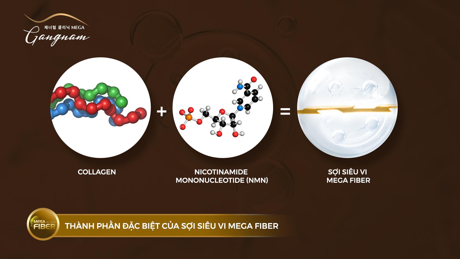 Vì sao Mega Gangnam sẵn sàng “liều lĩnh” với dịch vụ mega fiber? - Ảnh 3.