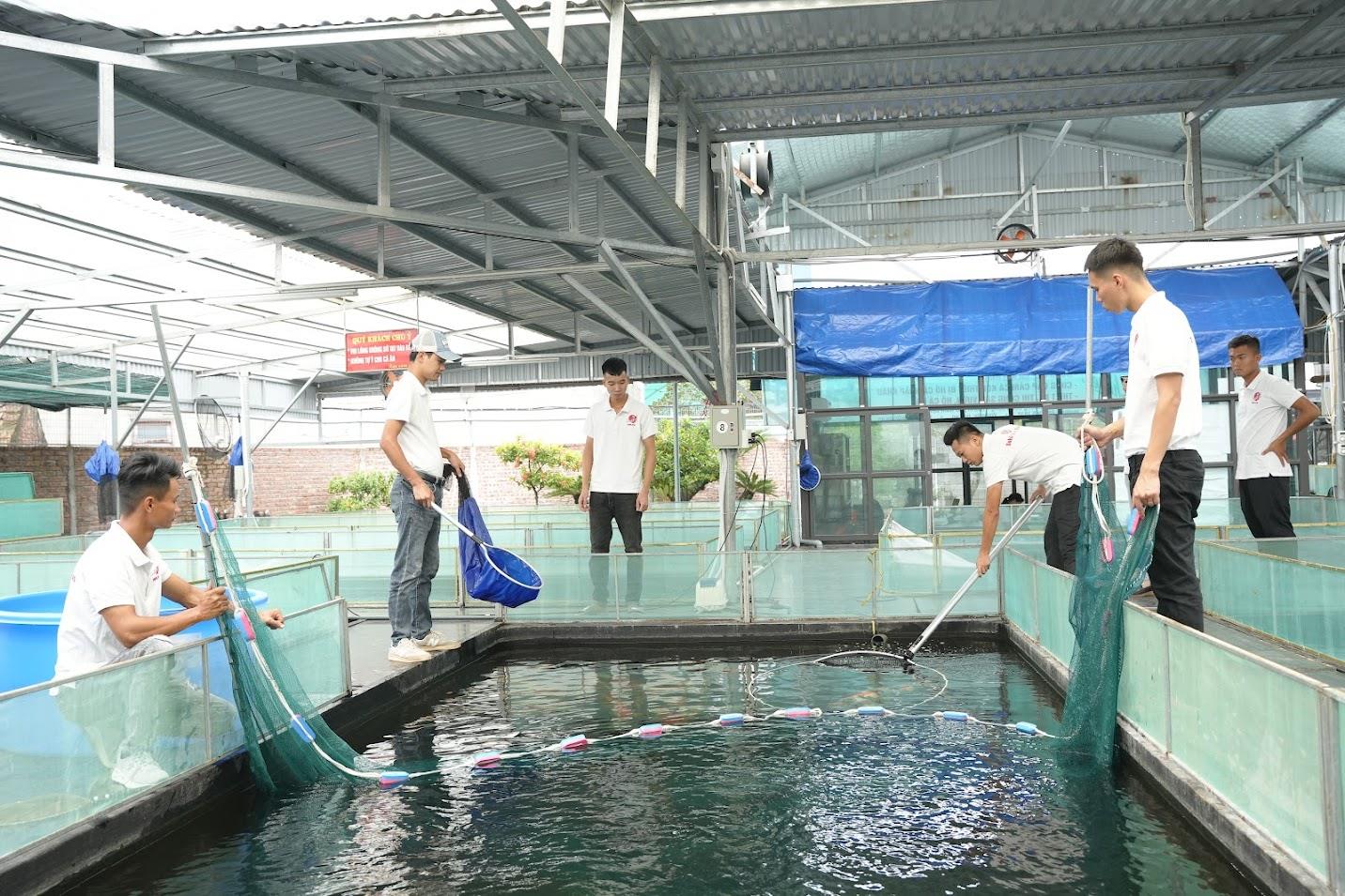 Ishi Koi Farm và phương châm cốt lõi tạo nên uy tín với khách hàng - Ảnh 3.