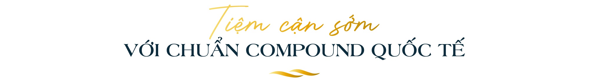 Compound The Aqua: Hành trình kiến tạo nên những giá trị sống thượng lưu bên sông Vàm Cỏ Đông - Ảnh 1.