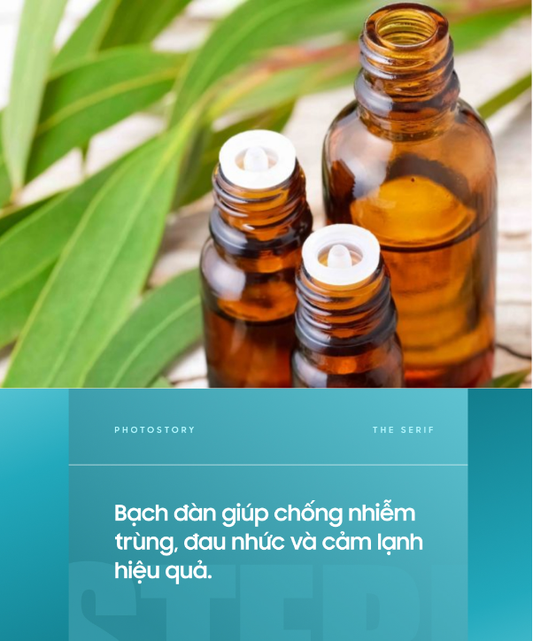 Thảo mộc là tiêu chuẩn vàng trong làng diệt khuẩn khoang miệng, vì sao? - Ảnh 2.