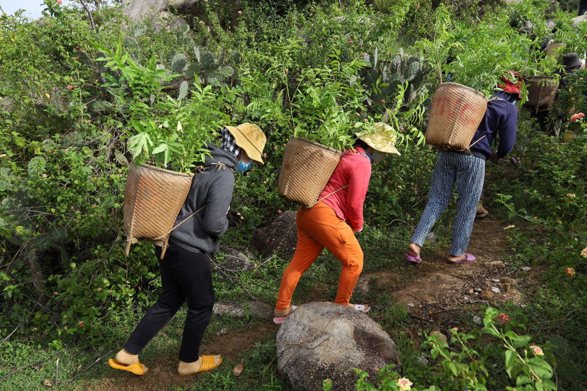 Dear, Klairs đồng hành cùng đời sống cộng đồng - Ảnh 4.