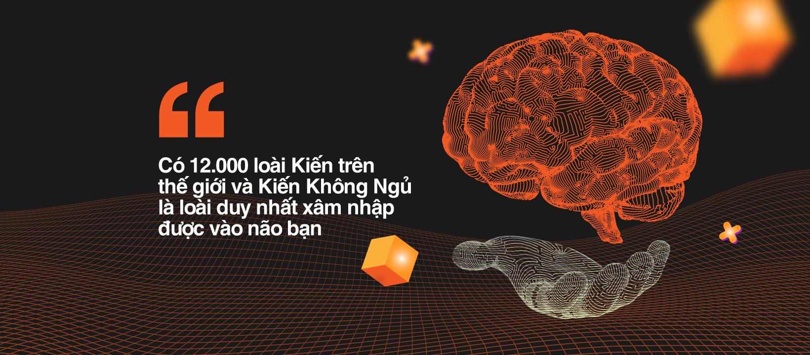 Cộng đồng Kiến Không Ngủ - Lựa chọn của những bạn trẻ yêu thích khám phá - Ảnh 2.