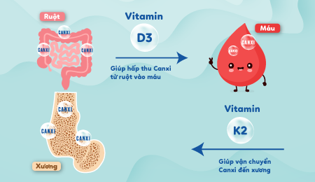 3 xu hướng bổ sung vitamin D3K2 – Hỗ trợ con chiều cao đạt chuẩn - Ảnh 2.