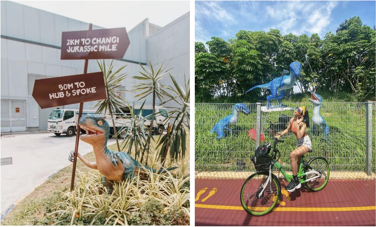 Gợi ý các cung đường đạp xe tuyệt đẹp để khám phá vẻ đẹp thiên nhiên Singapore - Ảnh 3.