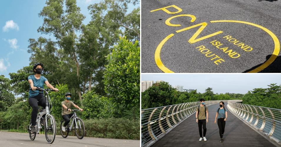 Gợi ý các cung đường đạp xe tuyệt đẹp để khám phá vẻ đẹp thiên nhiên Singapore - Ảnh 5.
