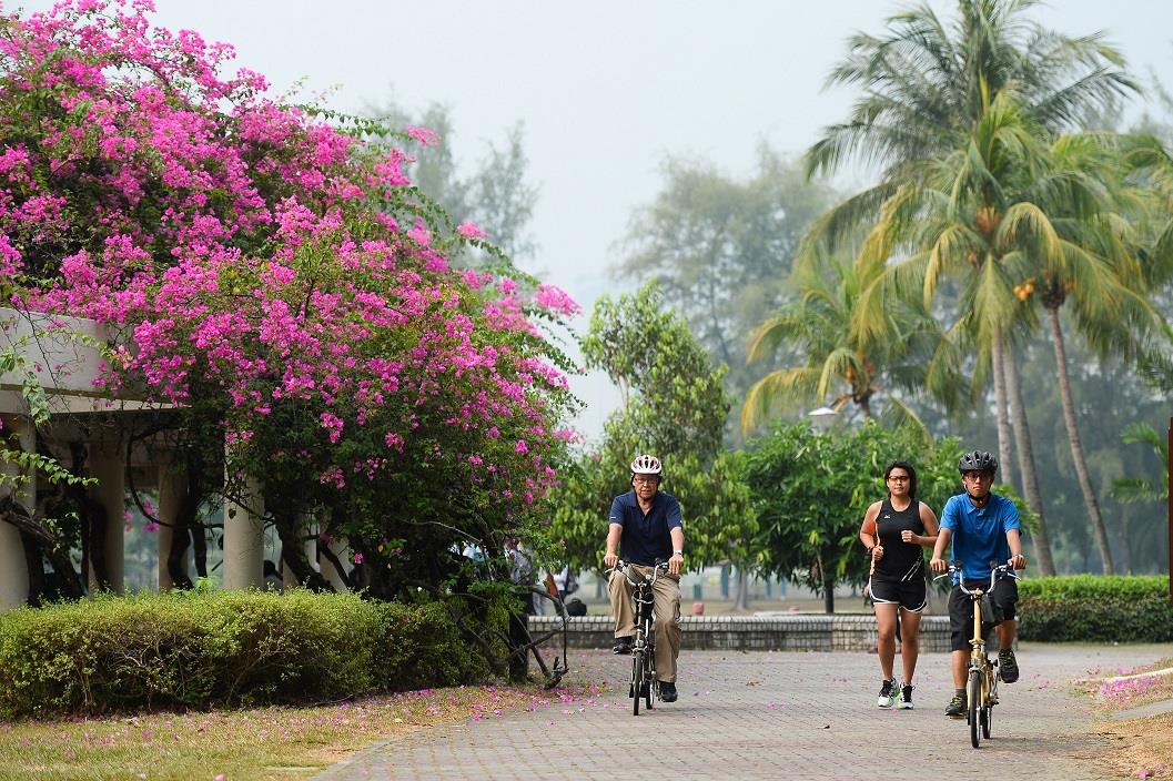 Gợi ý các cung đường đạp xe tuyệt đẹp để khám phá vẻ đẹp thiên nhiên Singapore - Ảnh 7.