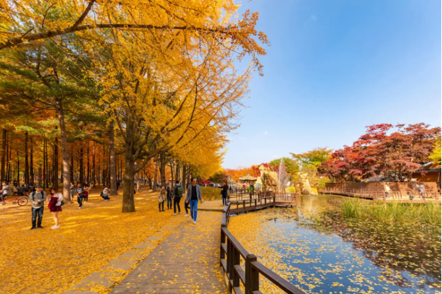 Hàn Quốc vào thu – Mùa đẹp nhất mà du khách nên ghé - Ảnh 2.